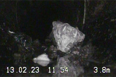 monitoring_01