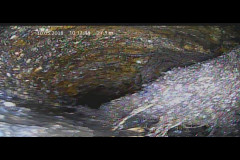 monitoring_05-korene